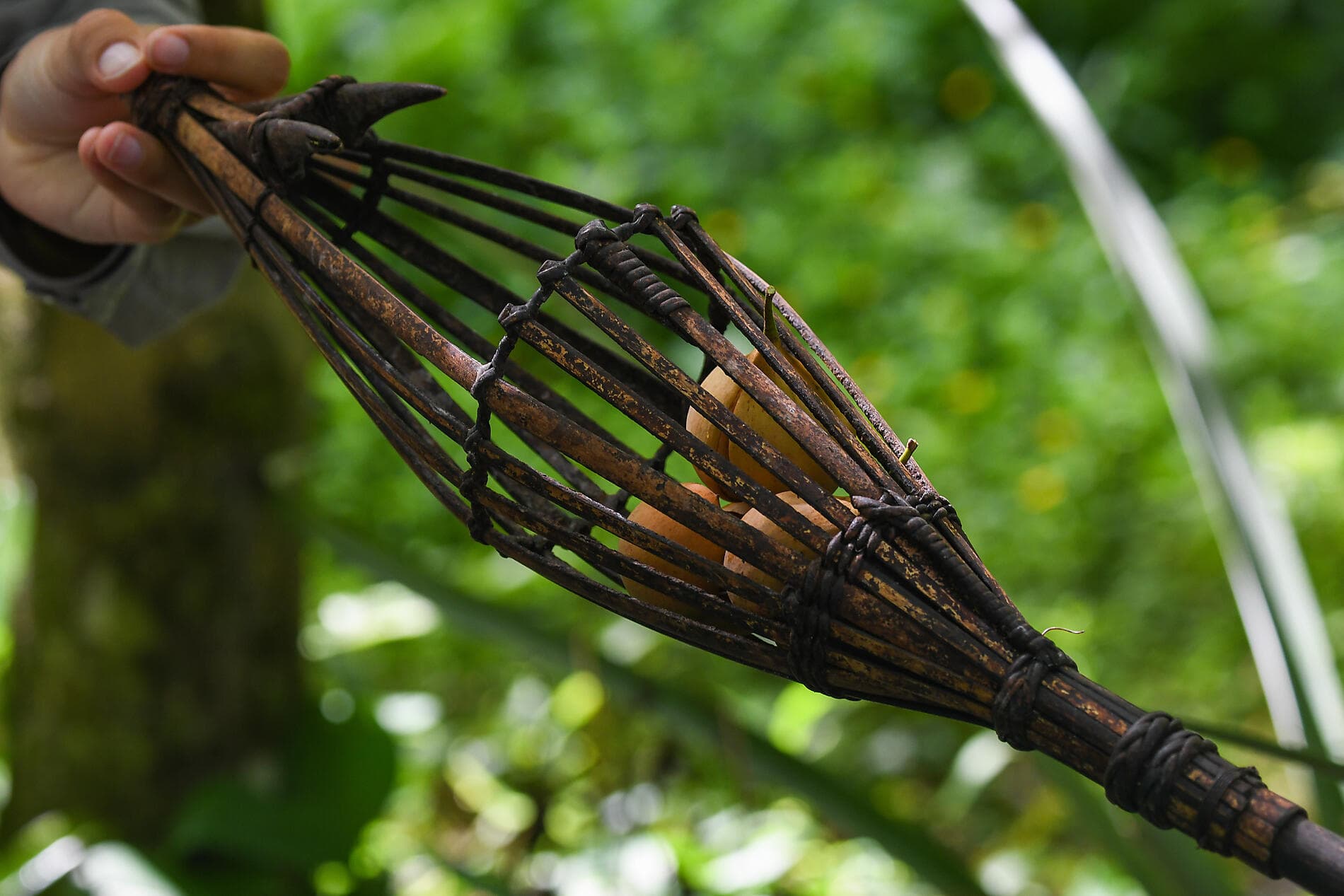 Raja Ampat et les îles aux Épices 