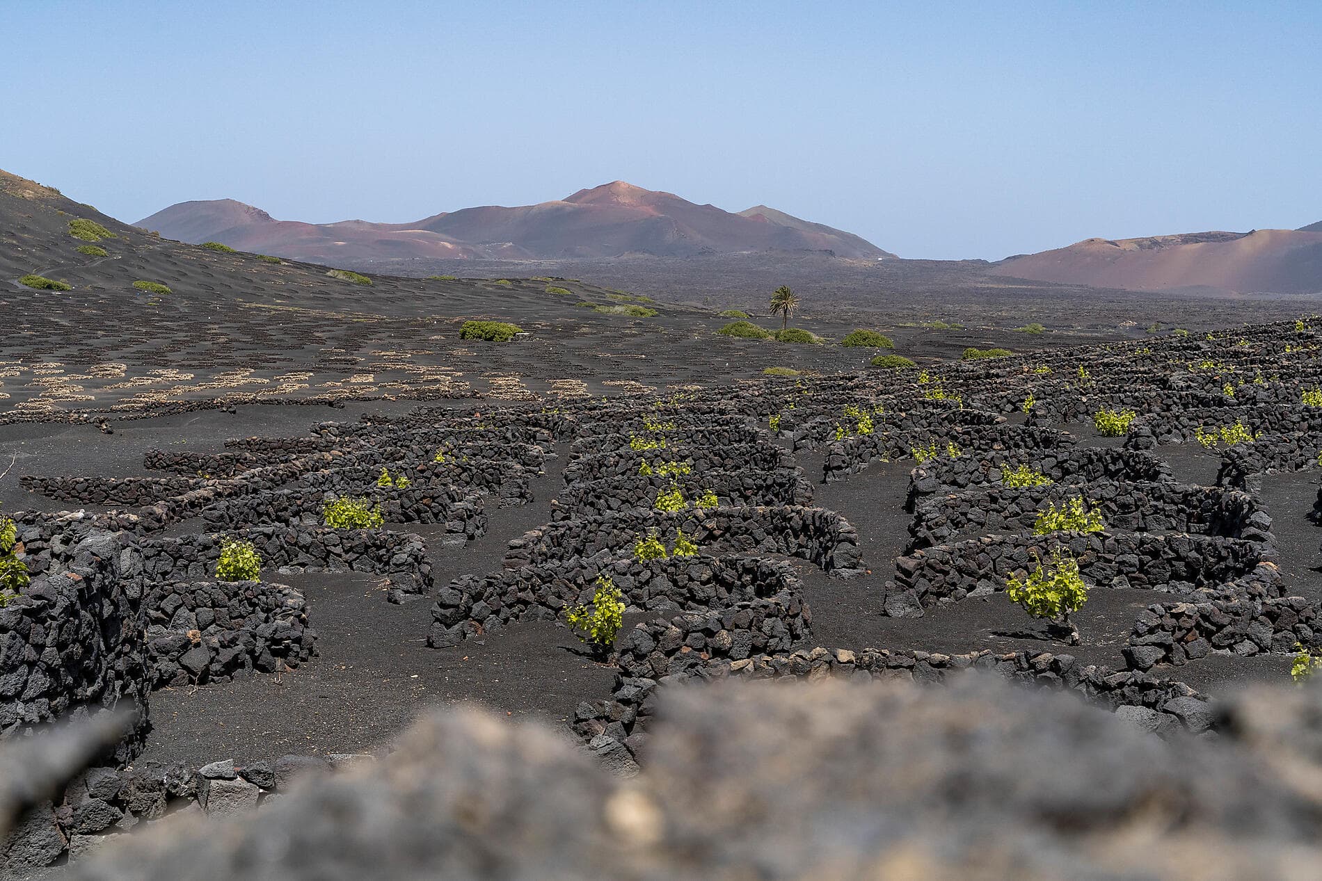 Entre volcans et océan, du Cap-Vert aux Canaries 