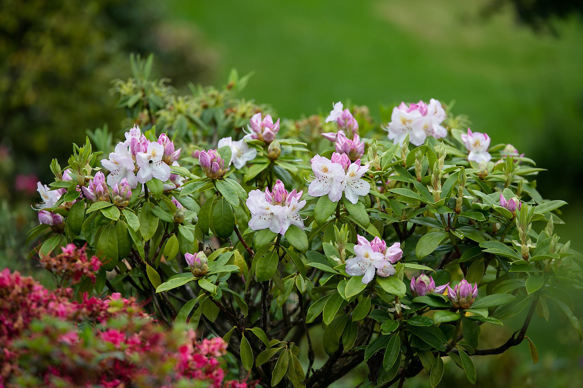 Autour de l’île d’Émeraude  