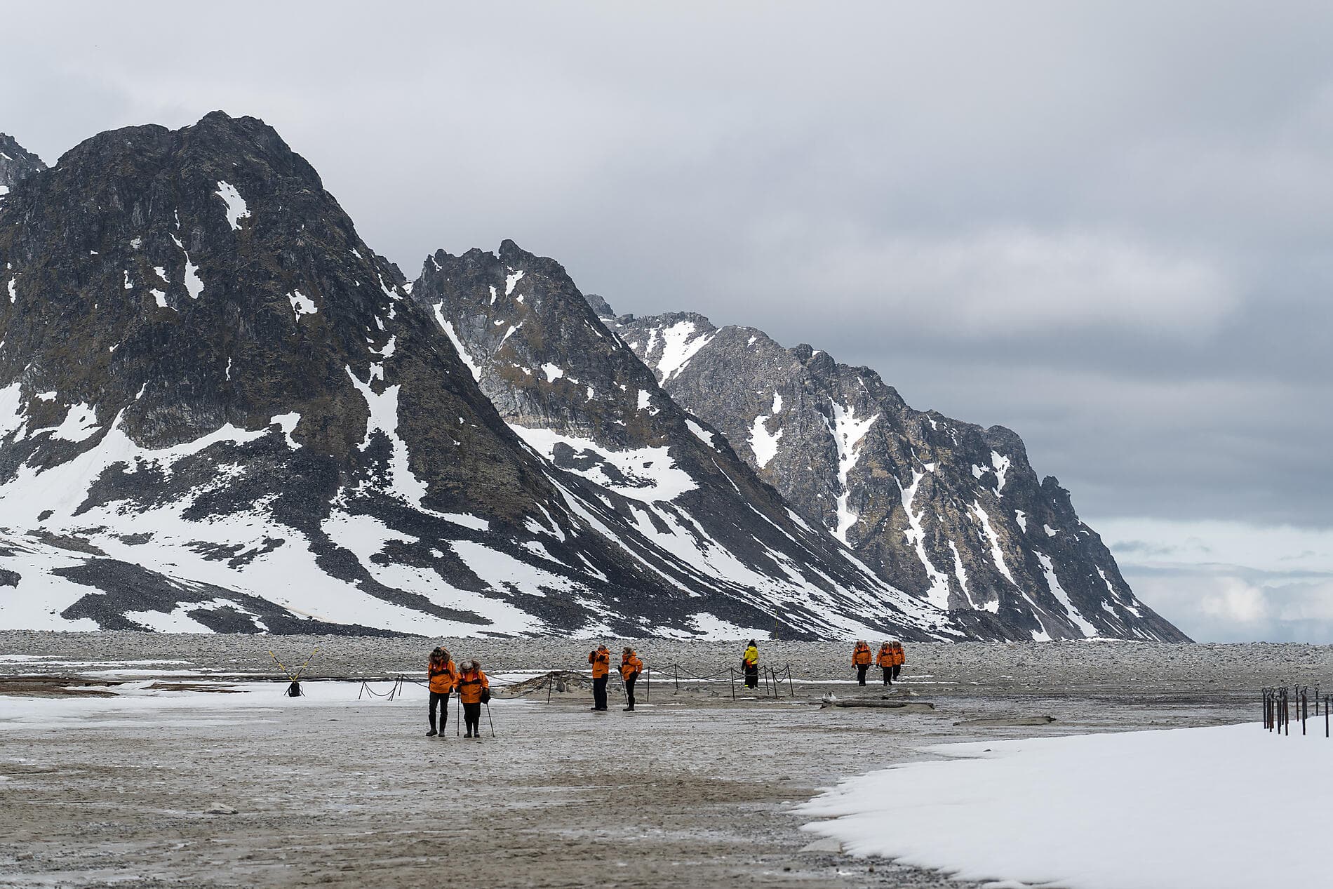 Au cœur des glaces de l'Arctique, du Svalbard au Groenland 