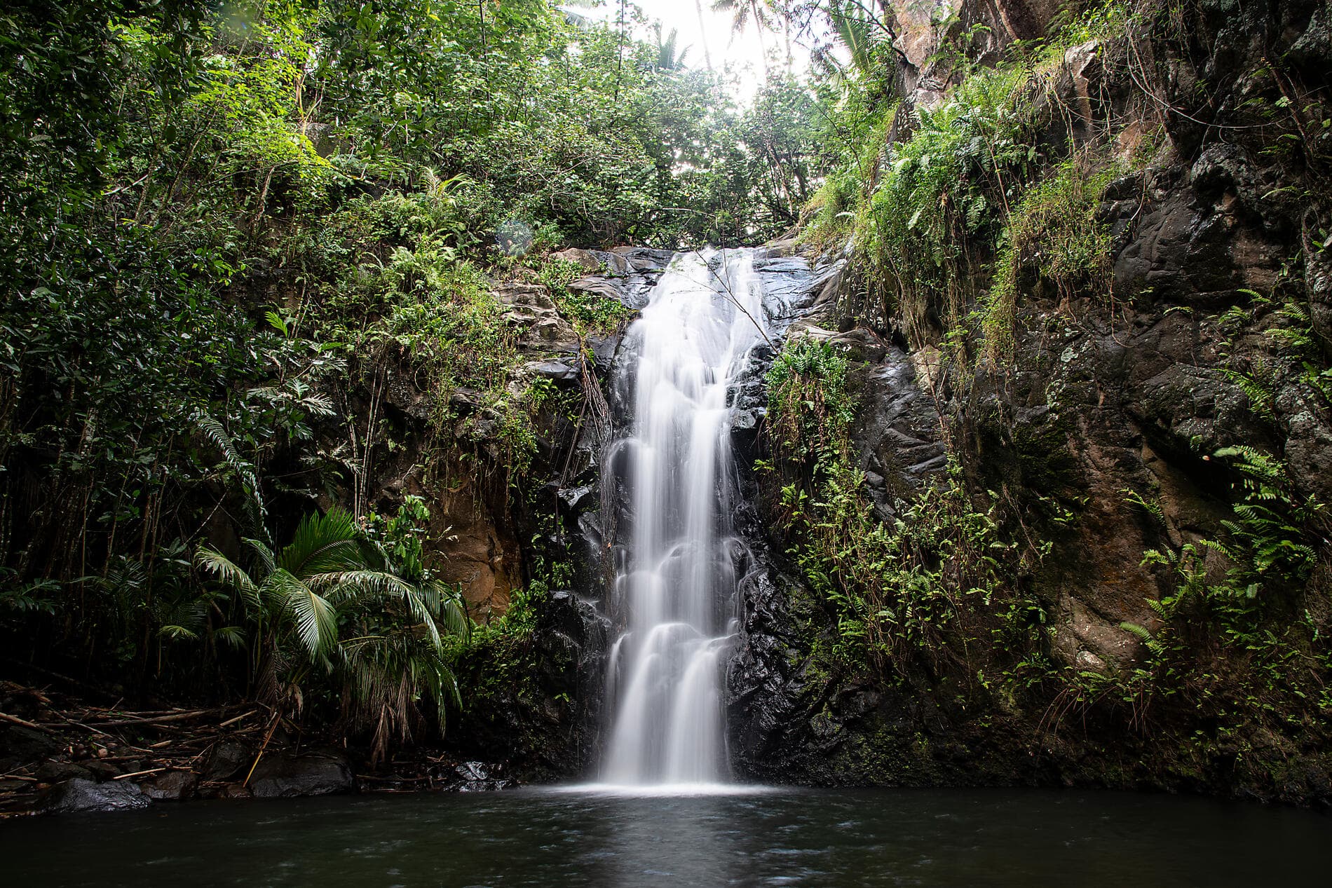 Marquises, Tuamotu et îles de la Société 