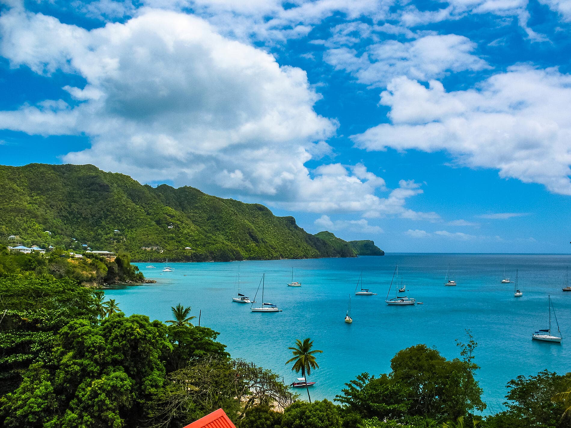 Perles des Antilles 