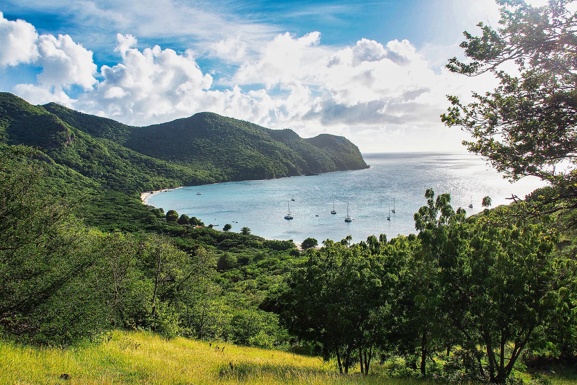 Perles des Antilles 