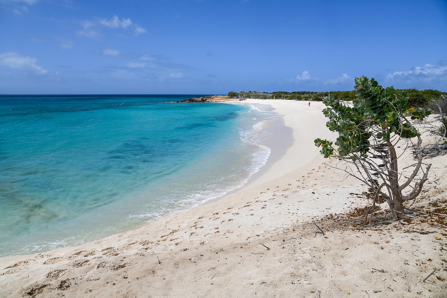 Rêverie sous voiles au cœur des petites Antilles 