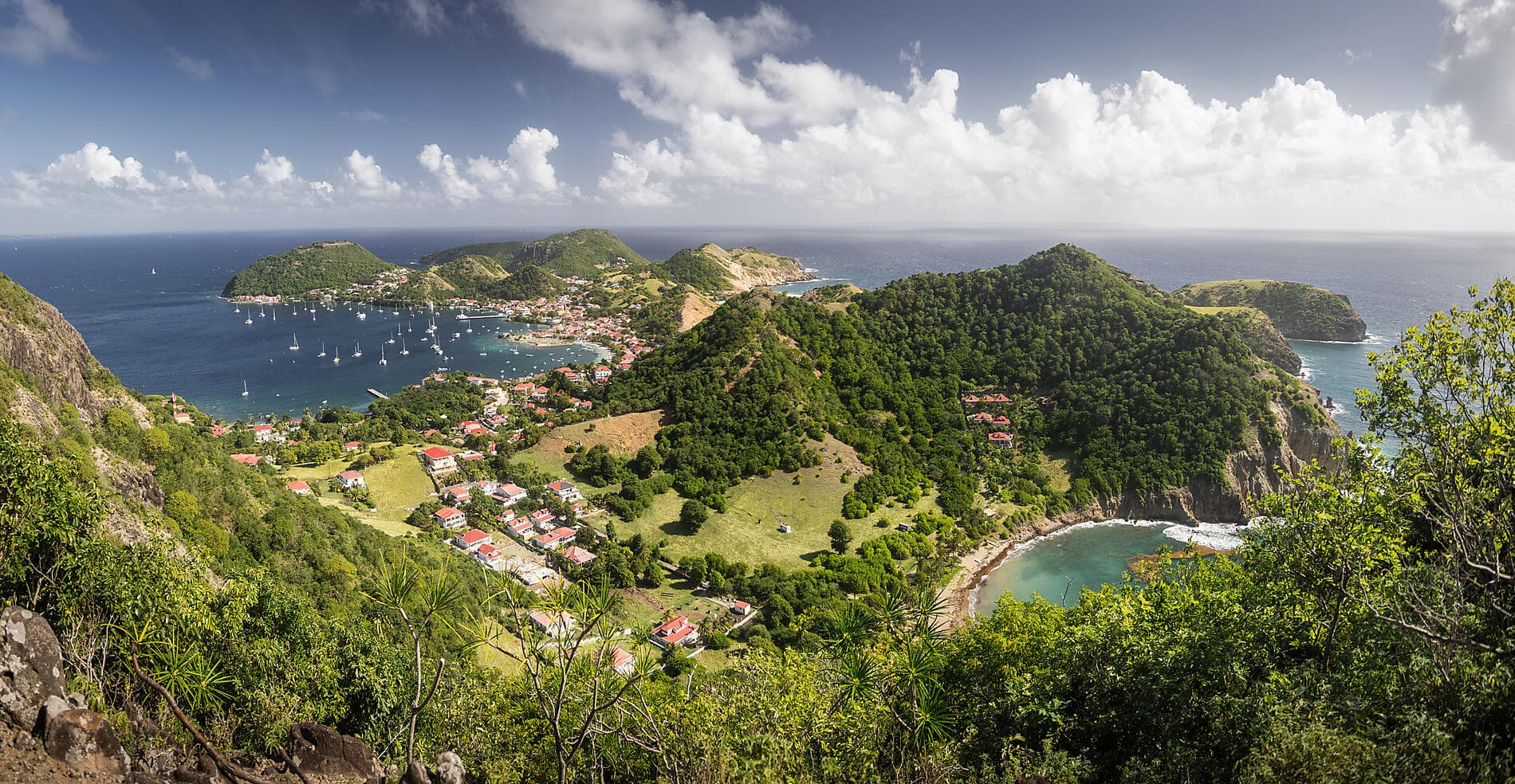 Perles des Antilles 