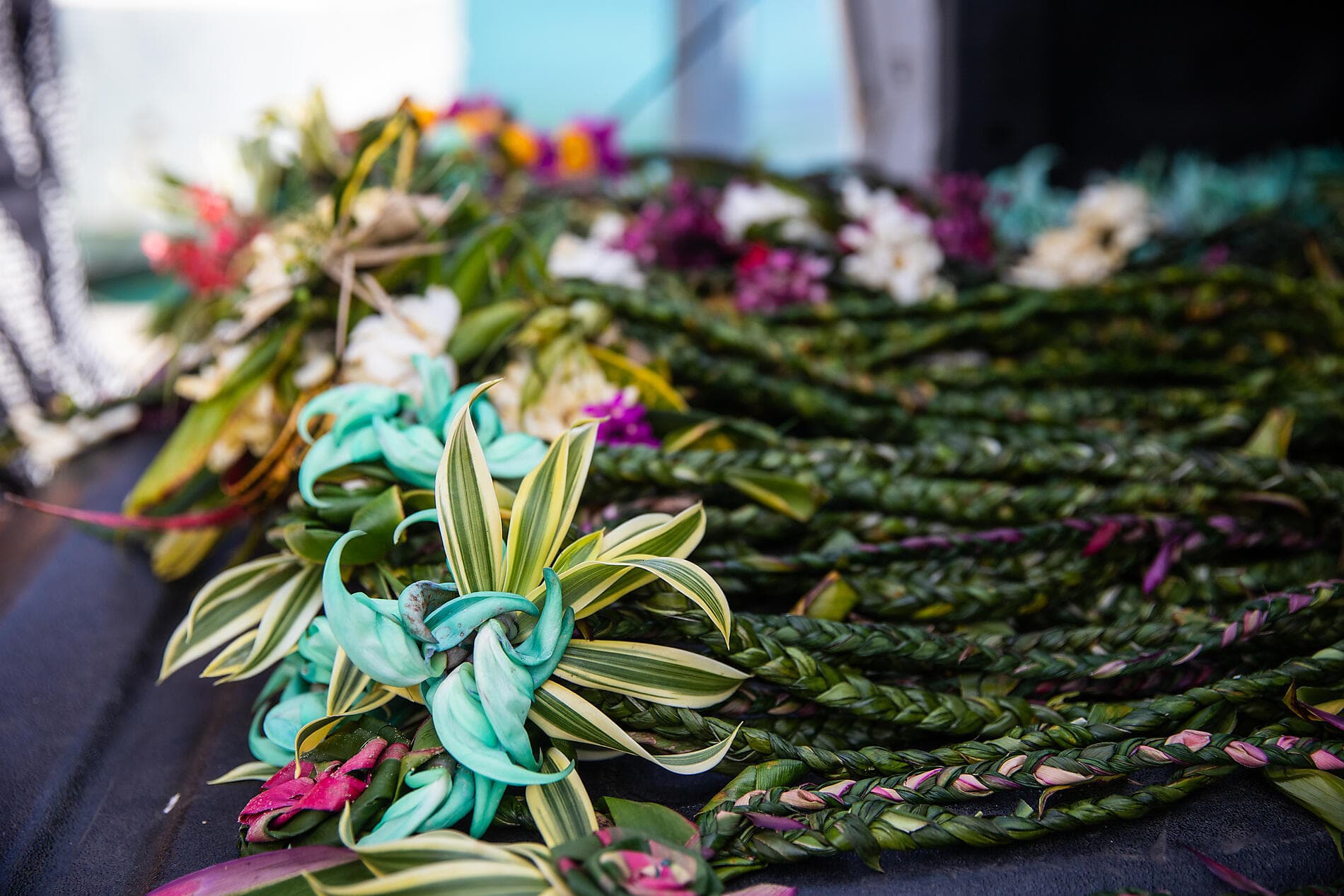Polynésie secrète : Tuamotu inédites, îles Gambier et îles Australes 