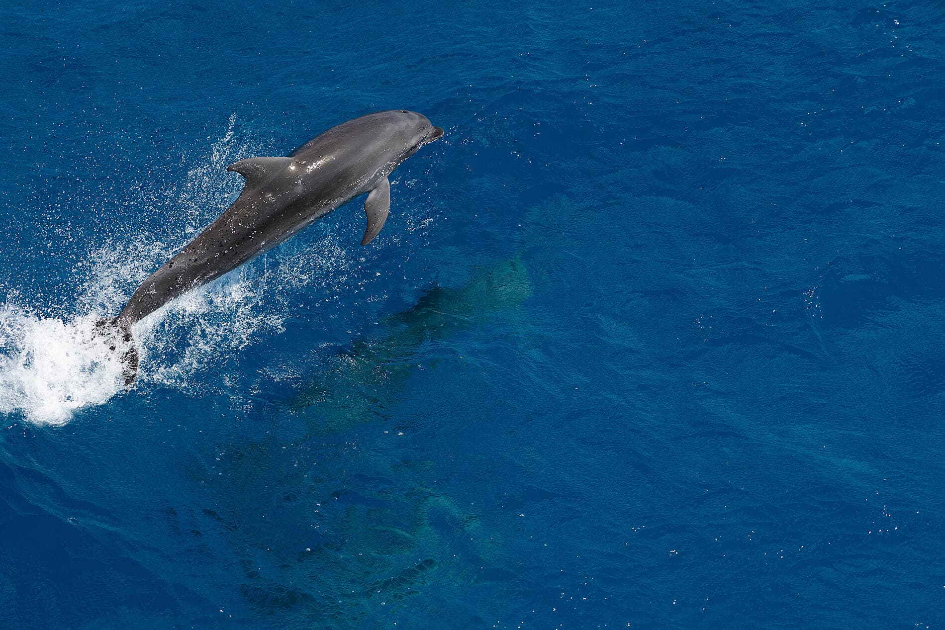 Douceur polynésienne : Marquises et Tuamotu 