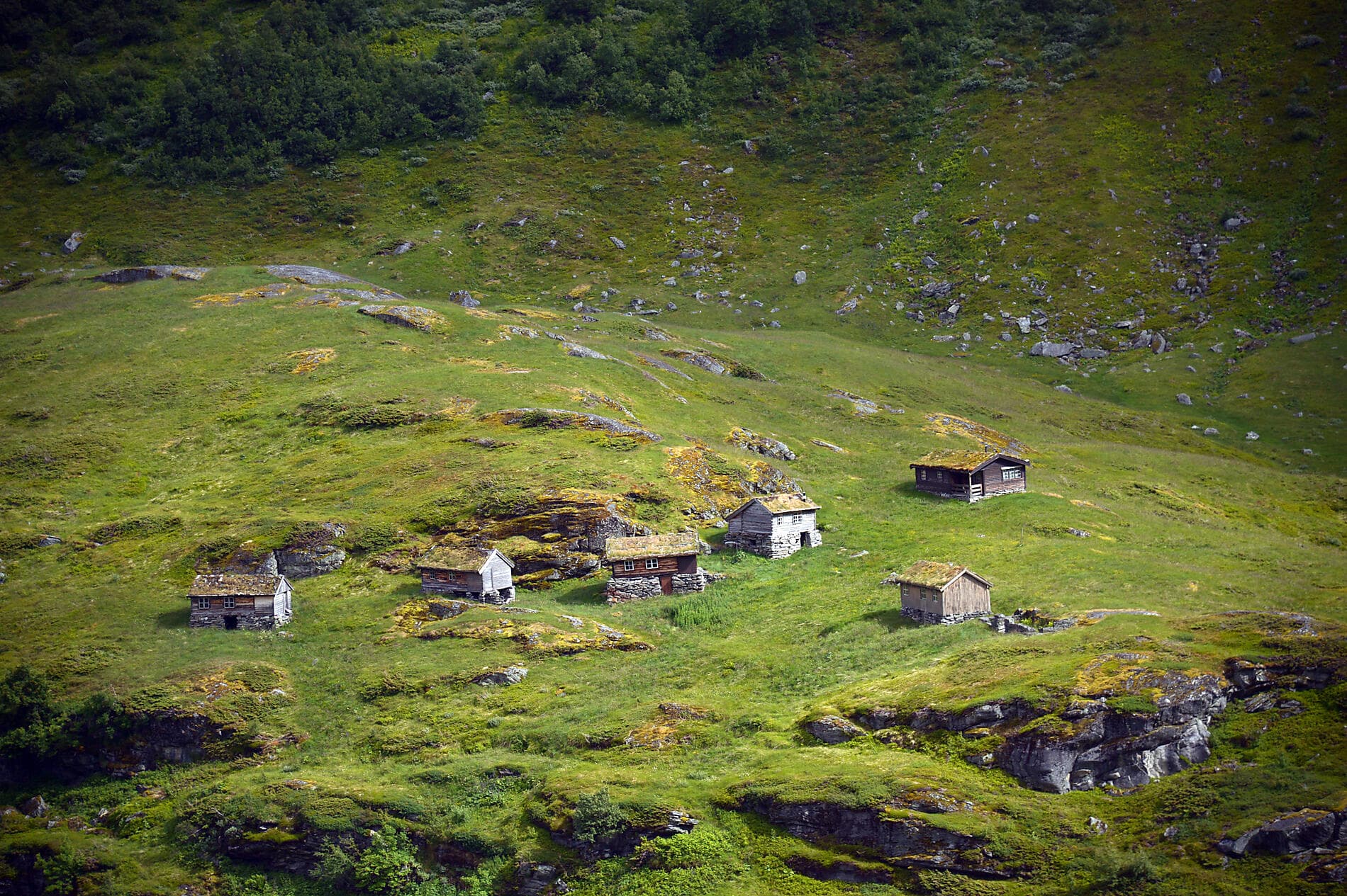 Escapade gastronomique dans les fjords norvégiens 