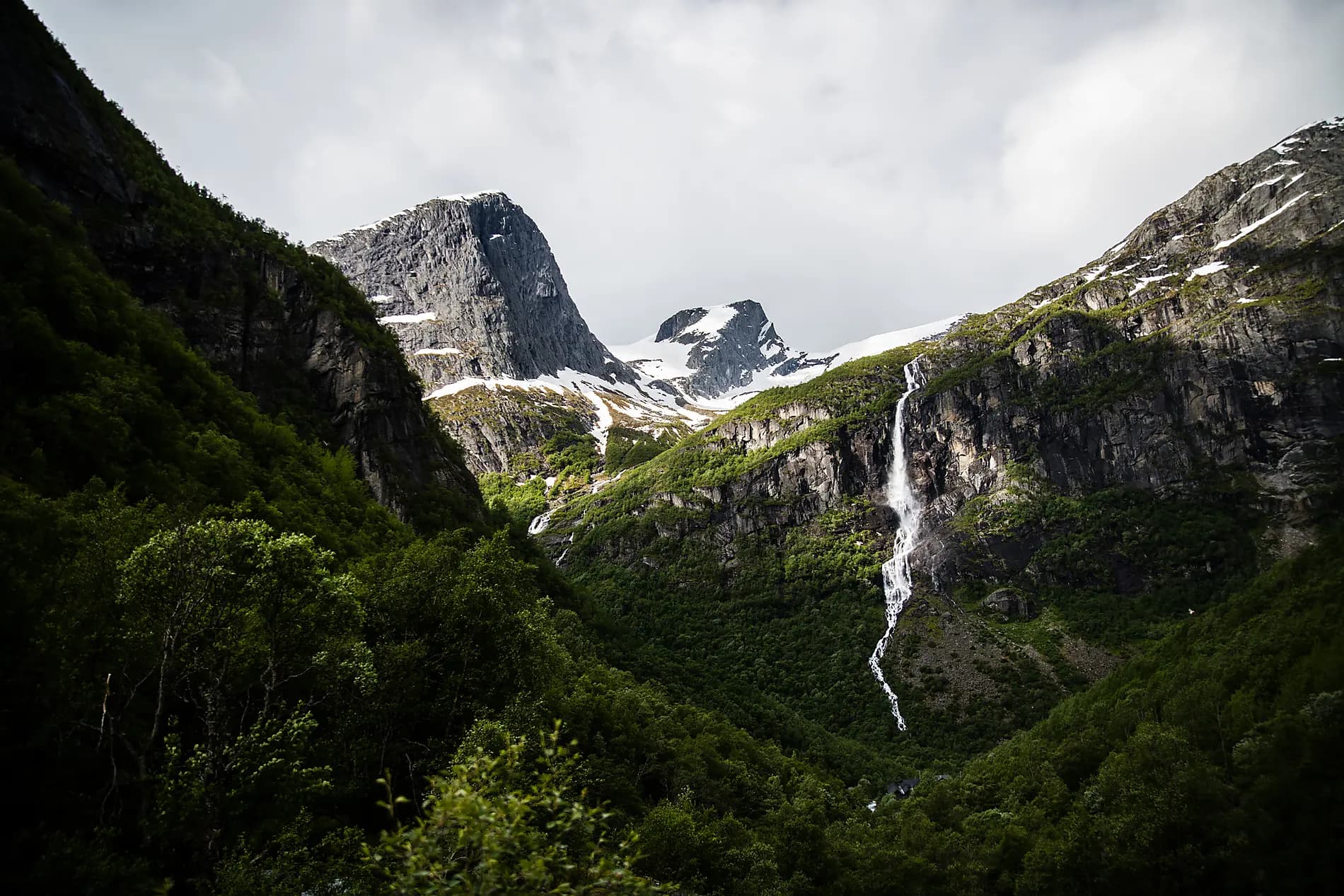 Escapade gastronomique dans les fjords norvégiens 