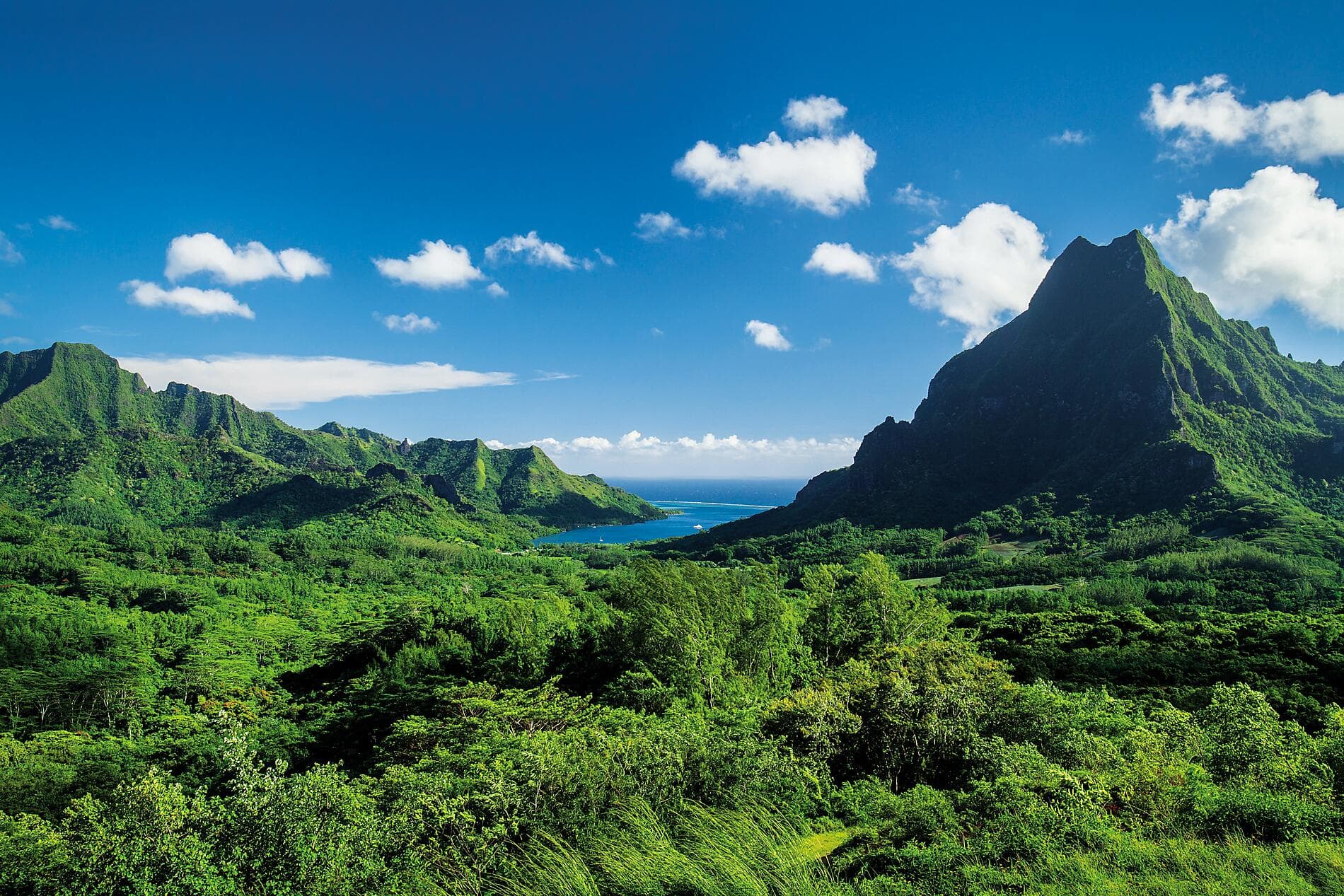 Perles des îles de la Société 