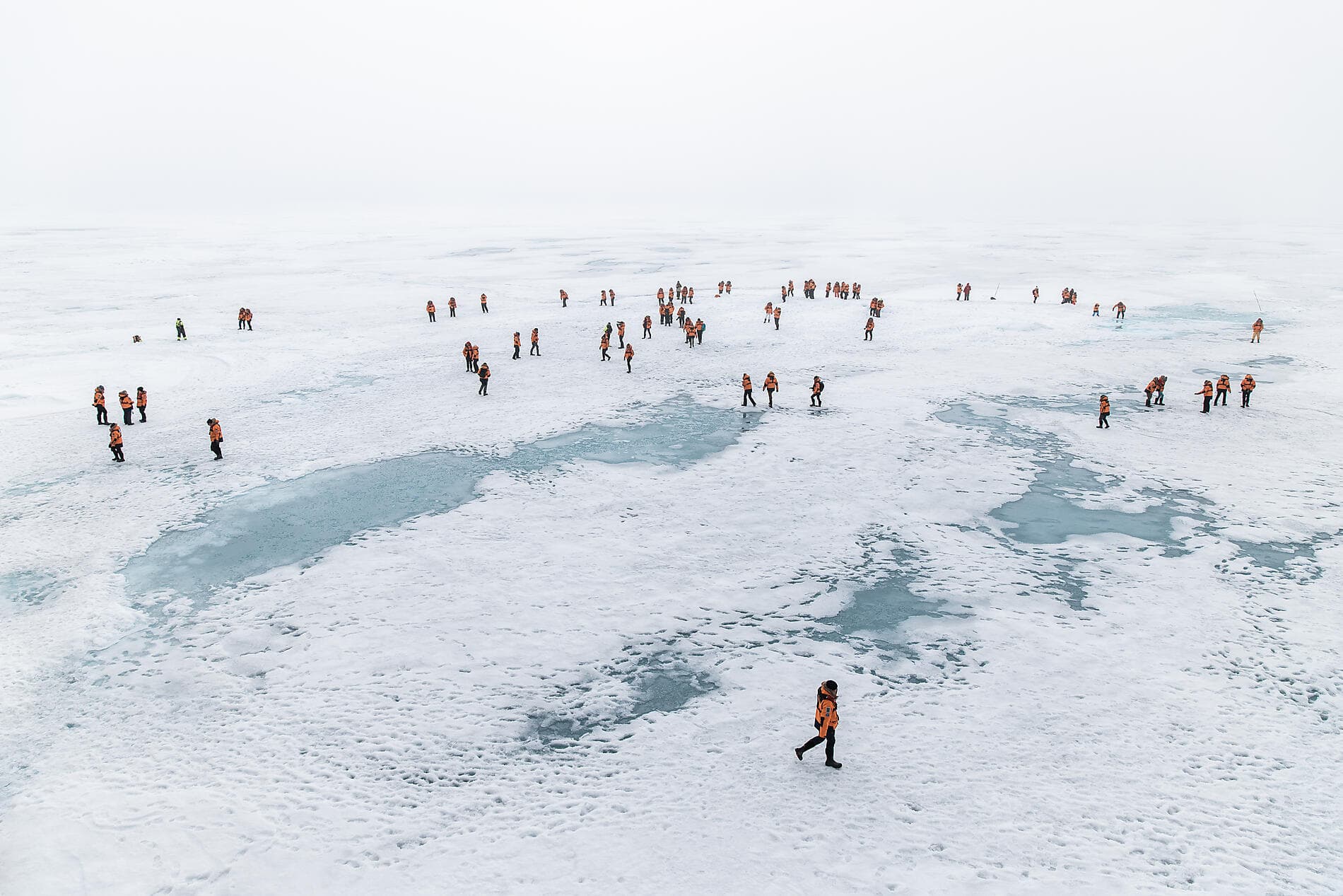 Le pôle Nord géographique 