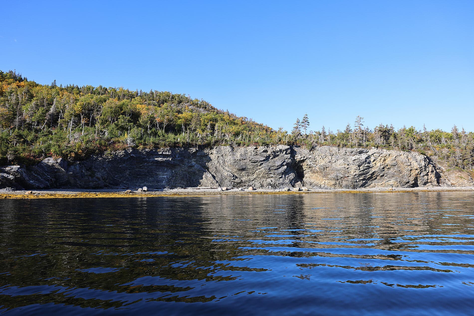 Exploration au gré du Saint-Laurent 