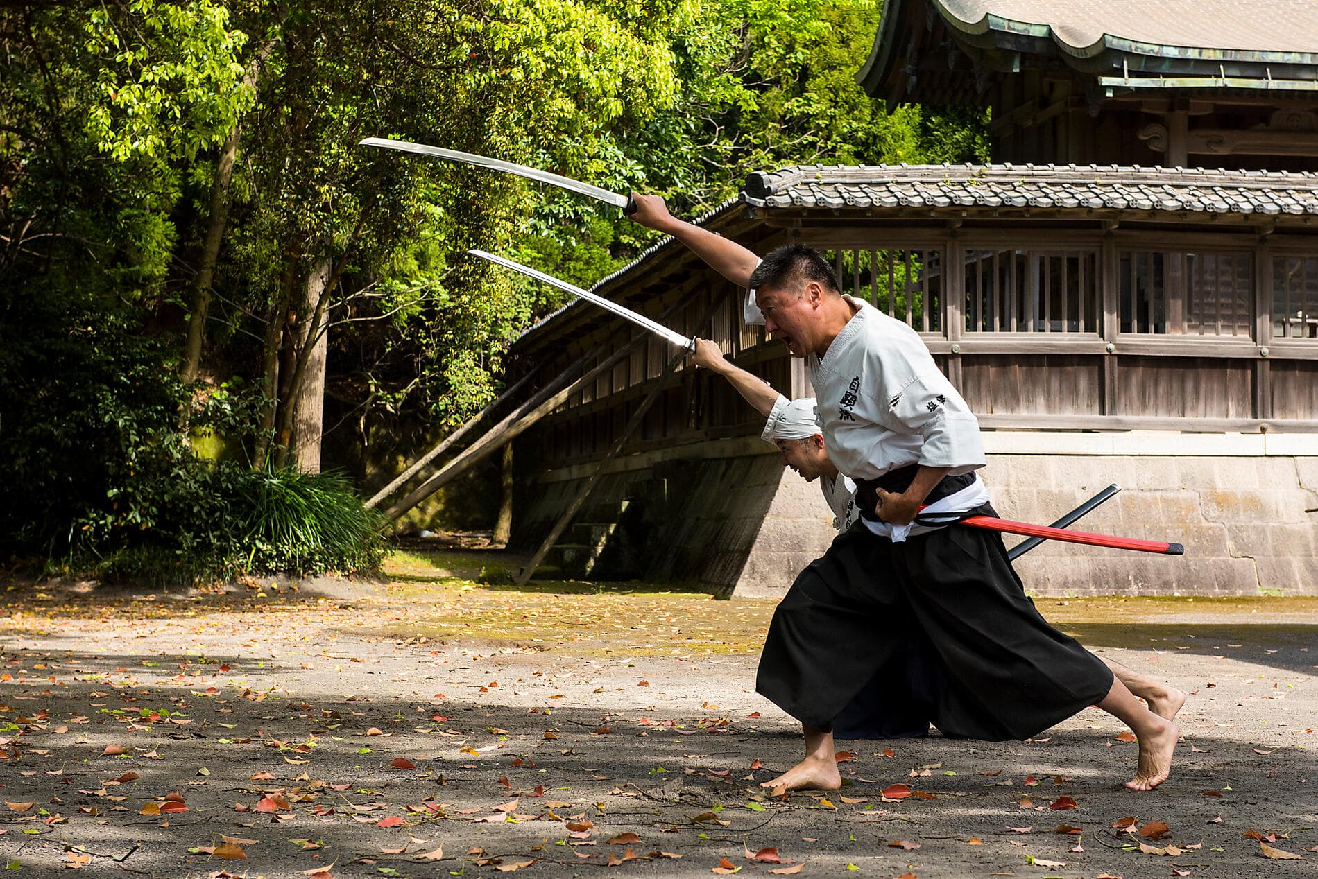 Le Japon, entre traditions et modernité 