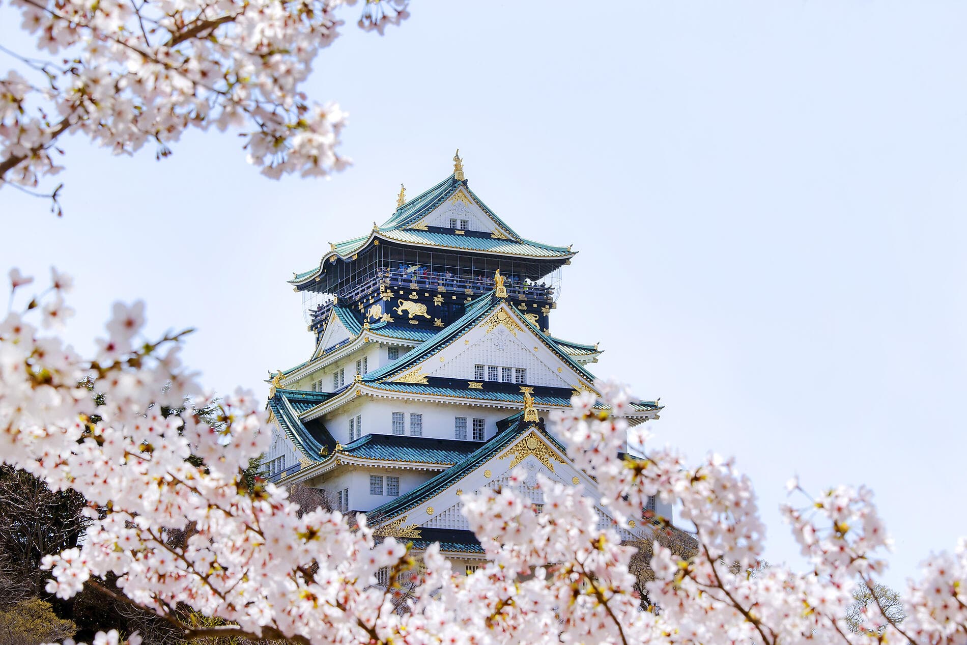 Le Japon, entre traditions et modernité 