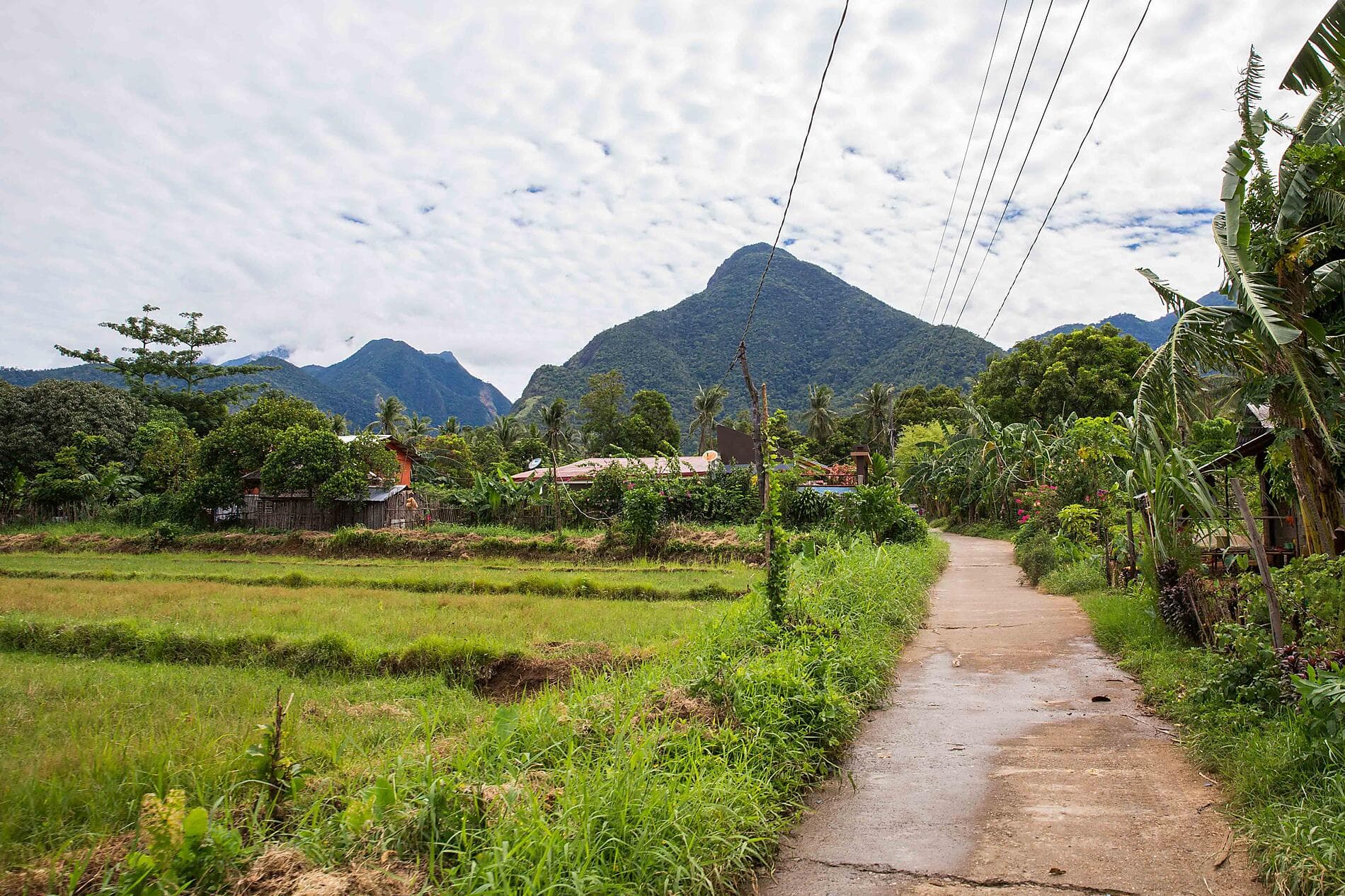 Au cœur des Visayas, l’âme préservée des Philippines 