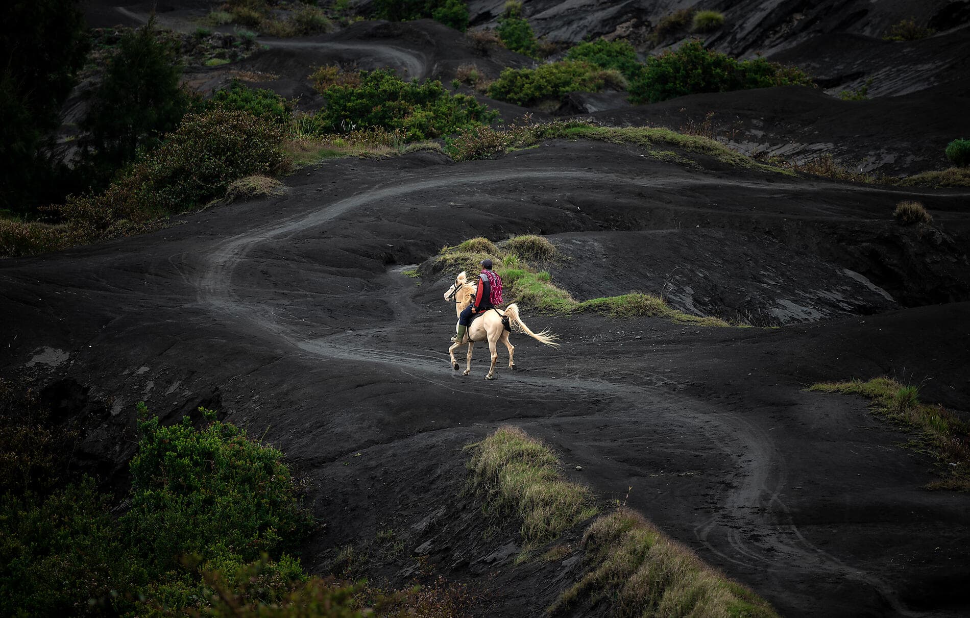 De temples en volcans :  l’âme indonésienne 