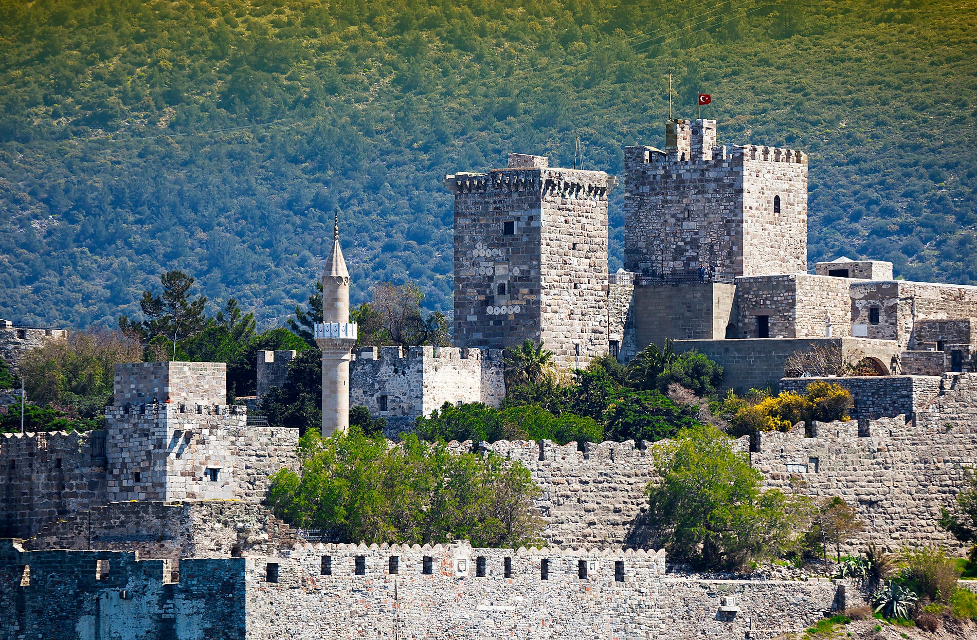 iStock-473428480.jpg