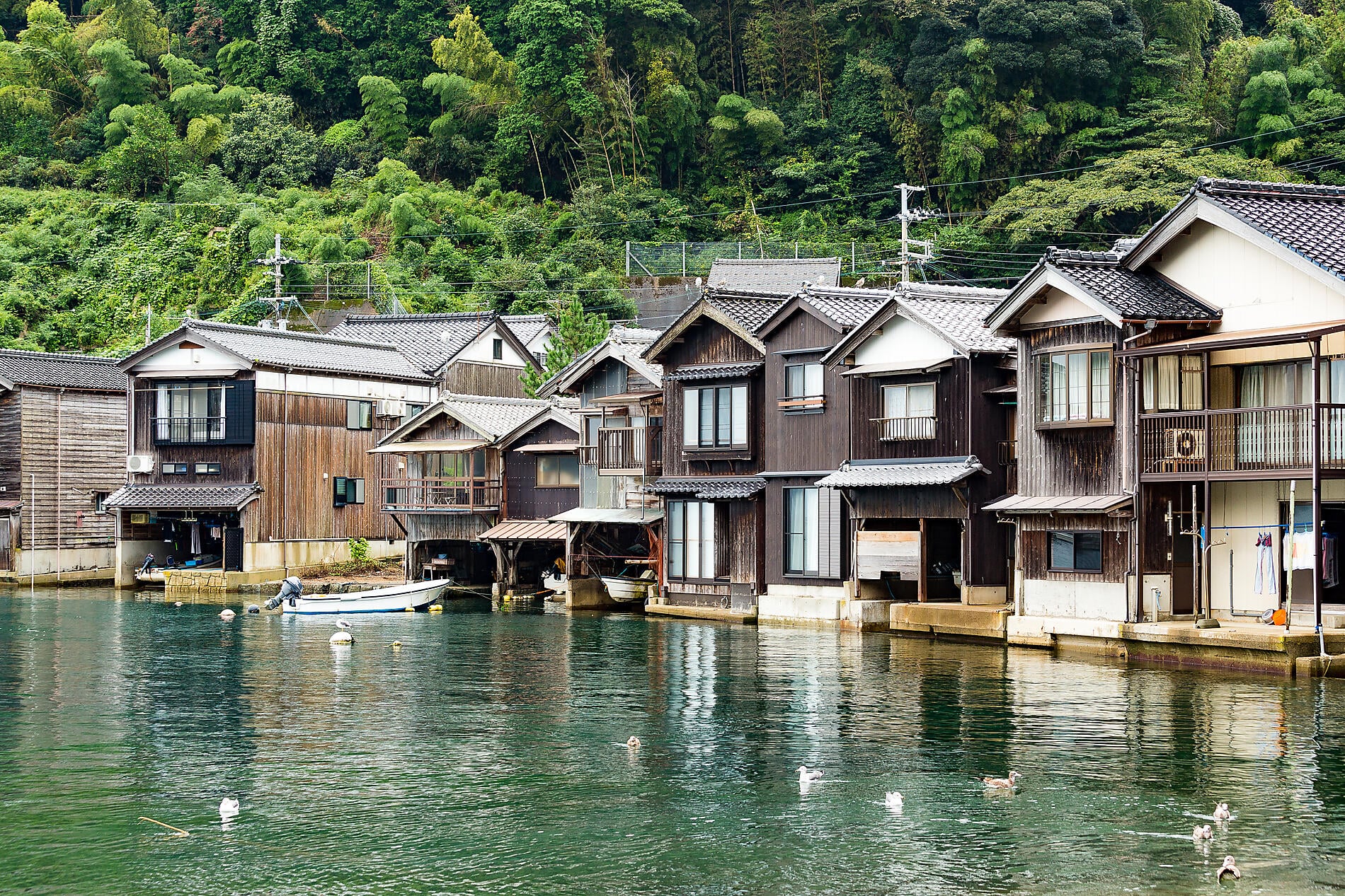 AdobeStock_158818636.jpeg