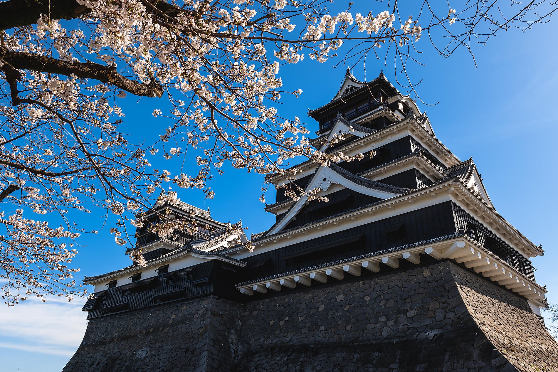AdobeStock_584306438.jpeg