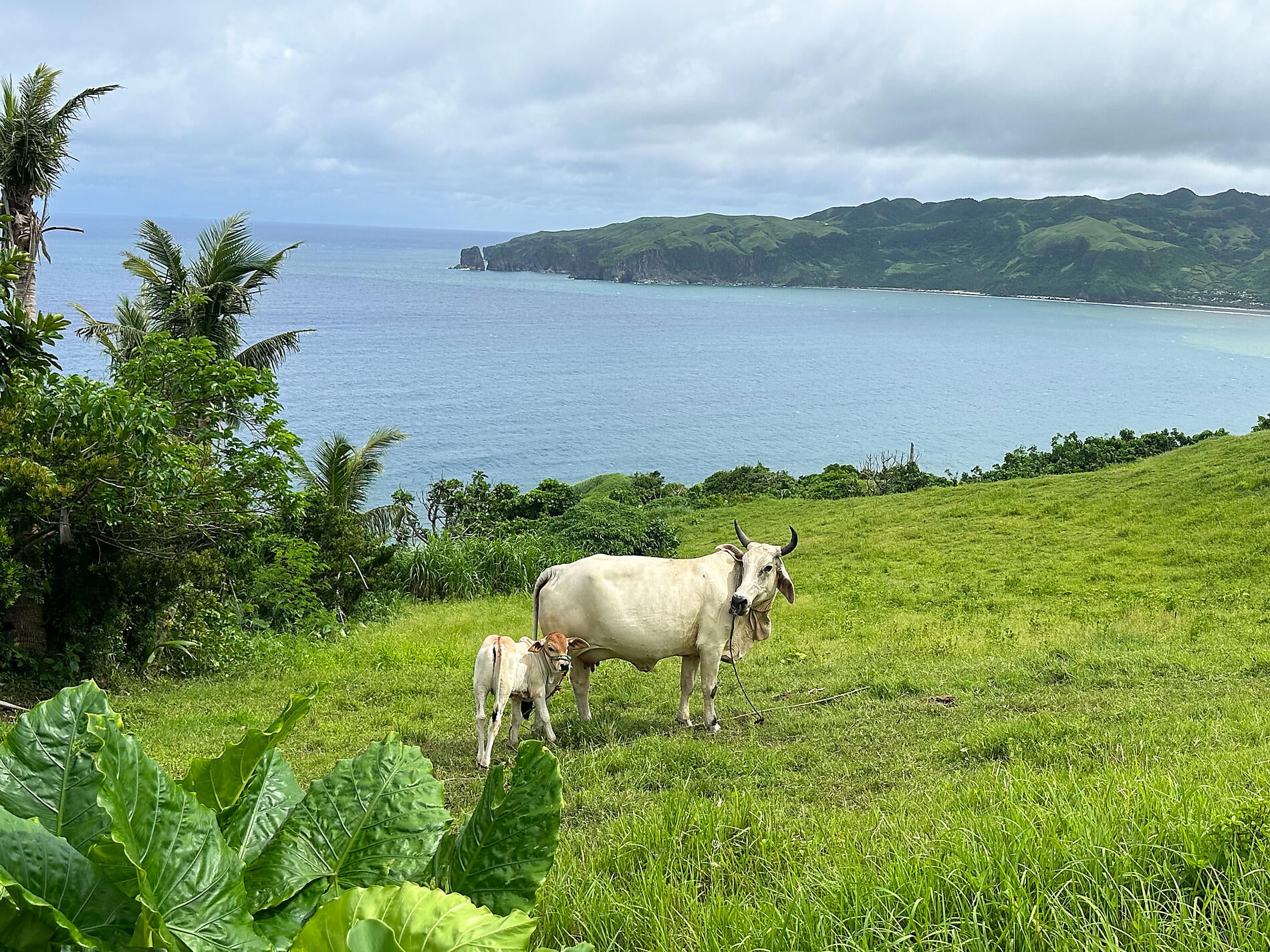 IMG_8335_Batanes@Ponant-SDT.jpg