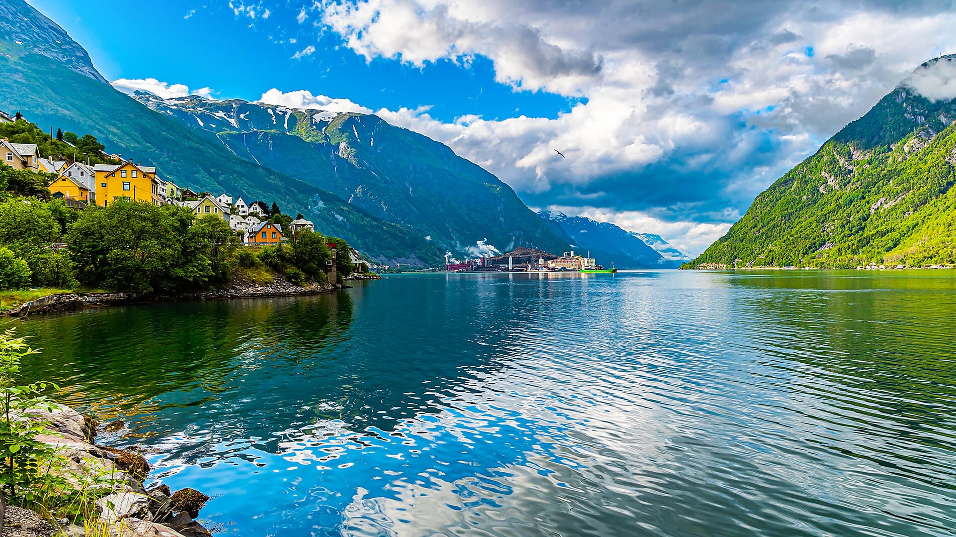 Des rivages écossais aux fjords norvégiens 